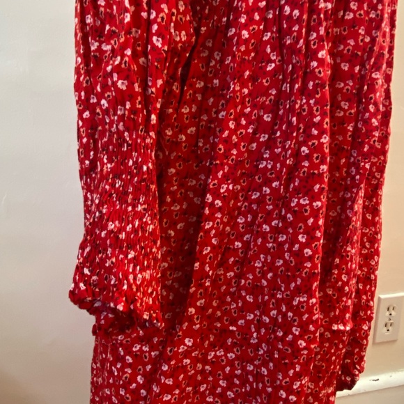 Gap | Red Pansy Dress - Picture 8 of 12